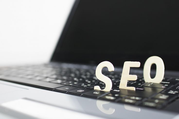 SEO growth chart and timeline
